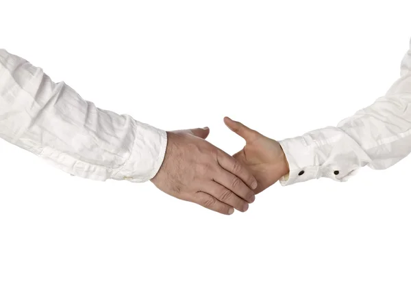 A businessman having a handshake — Stock Photo, Image