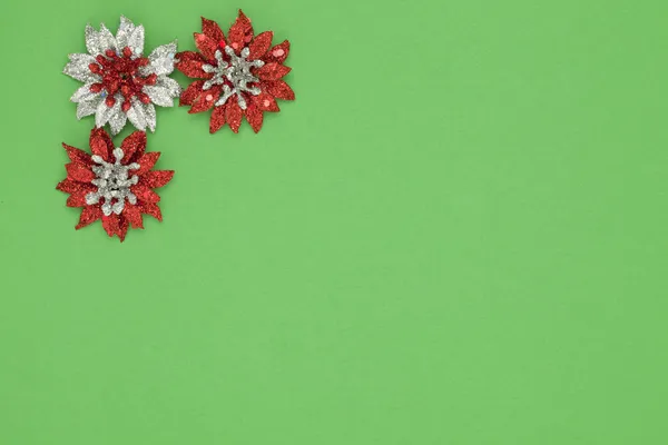 Eine Weihnachtsblume auf grünem Hintergrund — Stockfoto