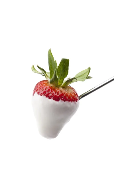 A fork with strawberry with white chocolate — Stock Photo, Image