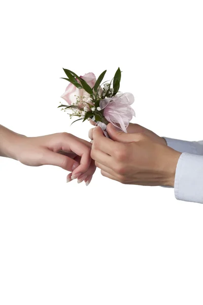 A guy putting a rose corsage on the womans wrist — Stock Photo, Image