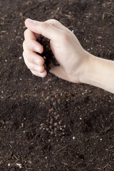 Uma mão plantando sementes — Fotografia de Stock