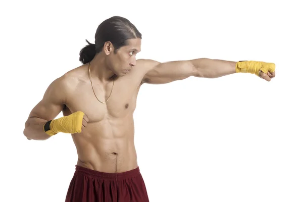 Aggressive boxer on punching stance — Stock Photo, Image