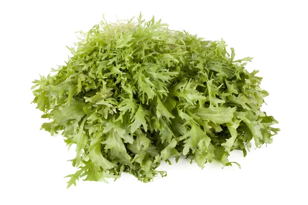 Arugula lettuce — Stock Photo, Image