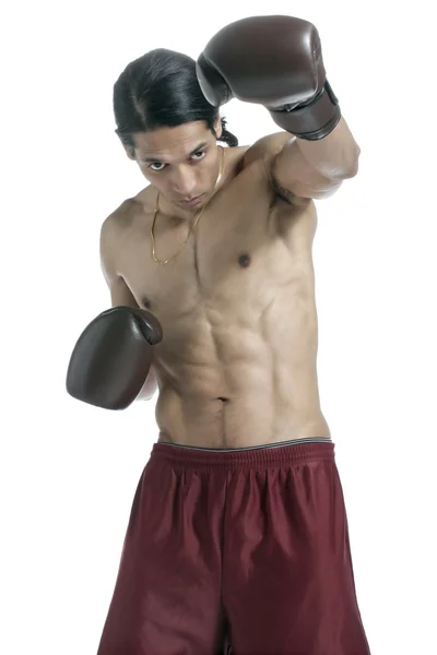Azjatycki bokser — Zdjęcie stockowe