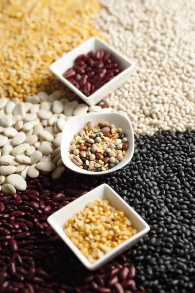 Assorted beans on a bowl — Stock Photo, Image
