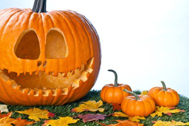 sanatsal halloween craft