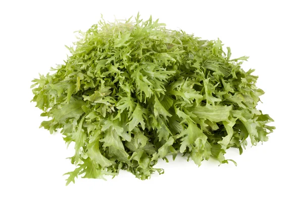 Rucola Sla — Stockfoto