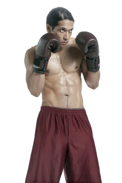 A muscular male boxer — Stock Photo, Image