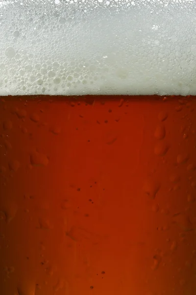 A mug of beer — Stock Photo, Image