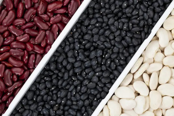 Assorted beans on a white container — Stock Photo, Image