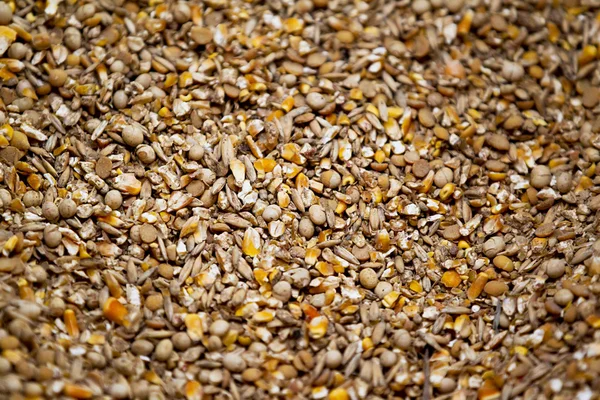 Una pila de granos de maíz —  Fotos de Stock