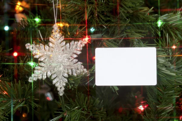 A placard resting on a christmas tree for copy — Stock Photo, Image