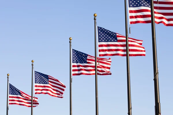 Amerikan bayrağının bir kutup — Stok fotoğraf