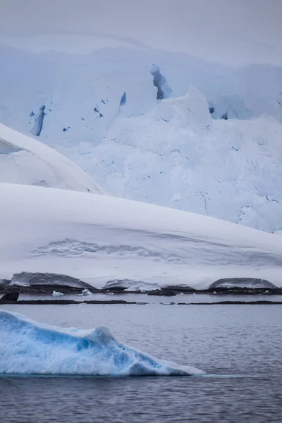 Antarctic Icebergs in forground — Stock Photo, Image