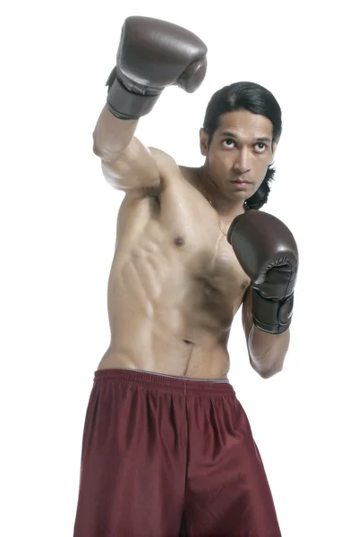 Athletic male boxer in punching stance — Stock Photo, Image