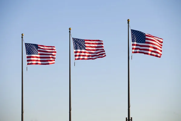 Banderas americanas — Foto de Stock