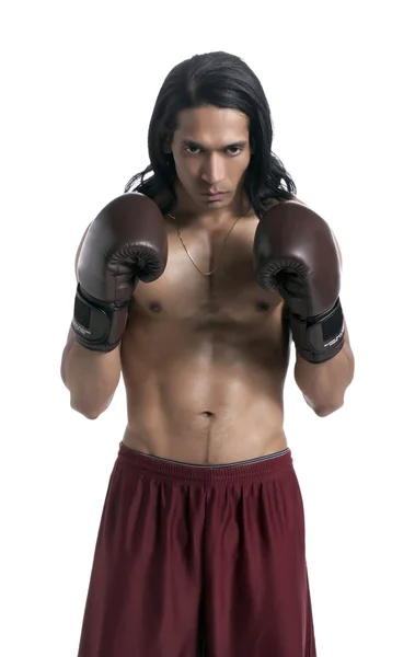 Boze mannelijke bokser — Stockfoto