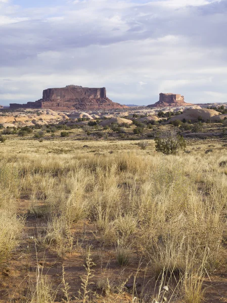Canhões do Arizona — Fotografia de Stock