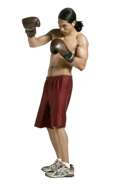 Asiatique mâle boxer — Photo