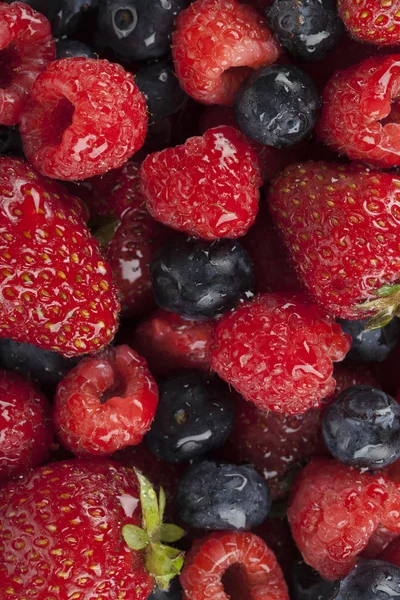Разнообразные свежие ягоды фон — стоковое фото