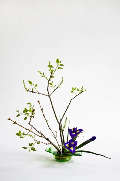 Ikebana with irises and lilac on the light background — Stock Photo, Image