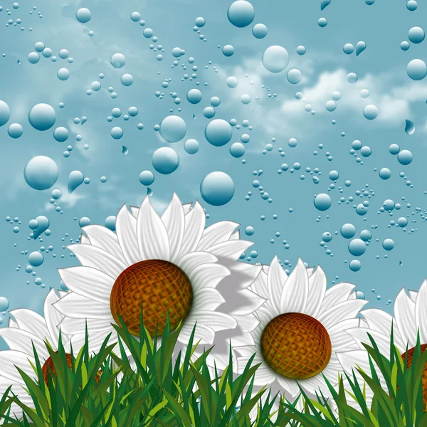 Flowers in the rain — Stock Photo, Image