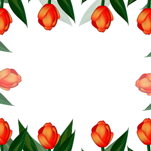 Фон тюльпанов — стоковое фото