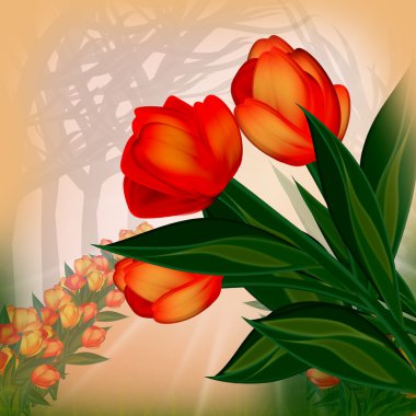 arka planını laleler