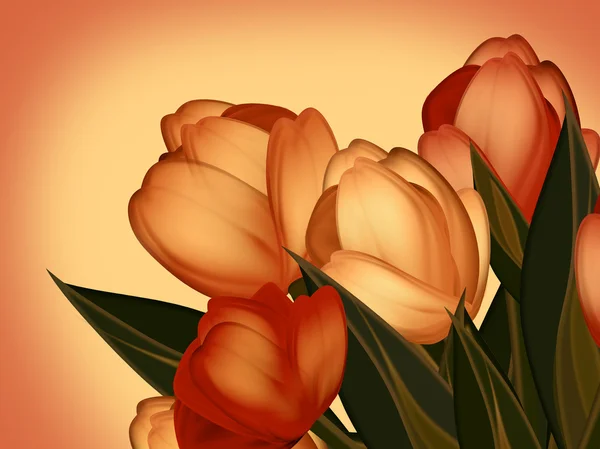 Cartão postal de férias. Flores de tulipa . — Fotografia de Stock