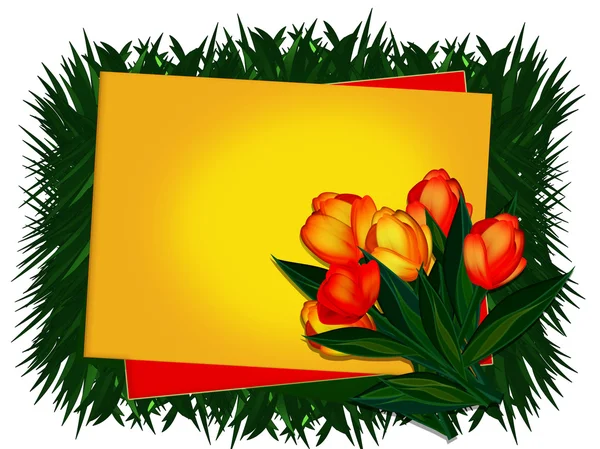Přání. tulipány. — Stock fotografie