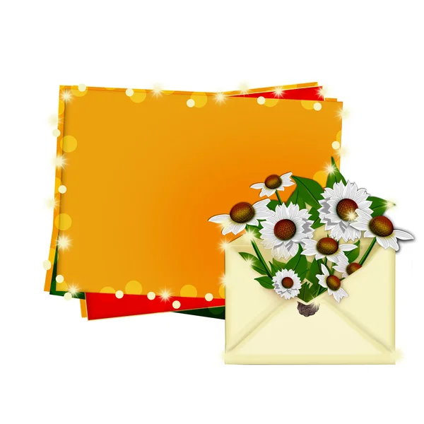Flores de camomila no envelope de correio — Fotografia de Stock