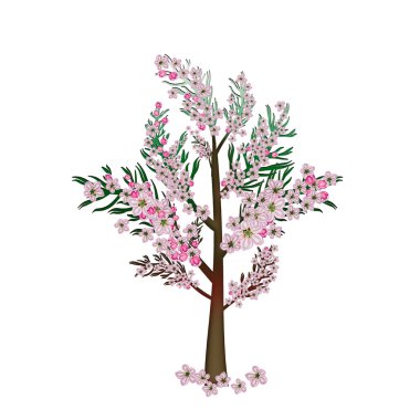 BLOOM 'DAKİ YAZLAR