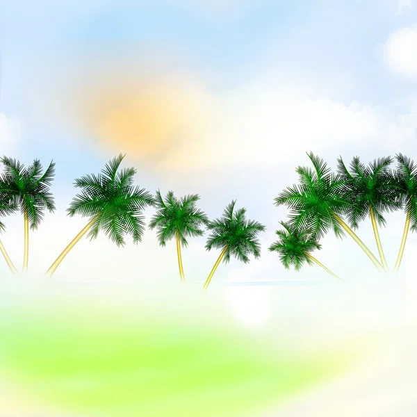 Tropical palms. travel — Stock Photo, Image