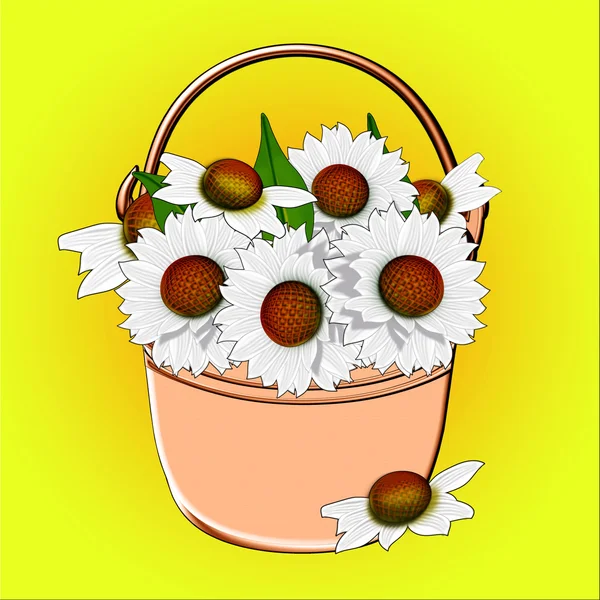 Bouquet of daisies in a bucket. — Stock Photo, Image