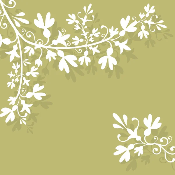 Ornament from flowers. Background. — Stock Photo, Image