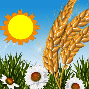 sivri ve çiçekler.