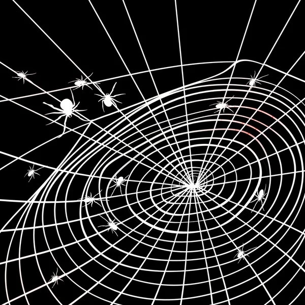Spider and cobweb. Background.