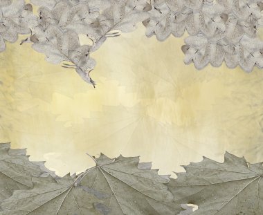 sonbahar yaprakları.