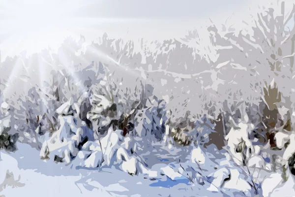 Vinterlandskap. vintern skog. — Stockfoto