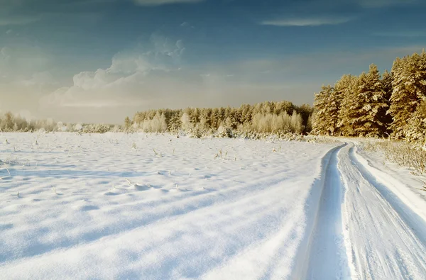 Winterwald. Landschaft. — Stockfoto