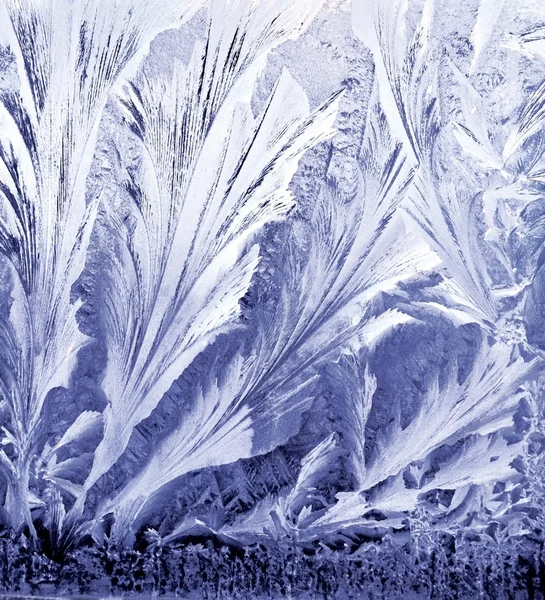 Frozen glass — Stock Photo, Image