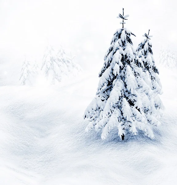 Winter Landscape — Stock Photo, Image