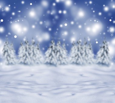 kış orman içinde ağaç