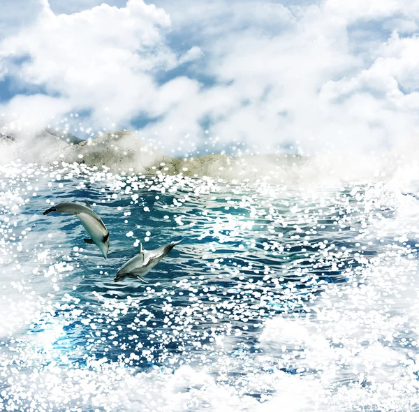 Sea dolphins. — Stock Photo, Image