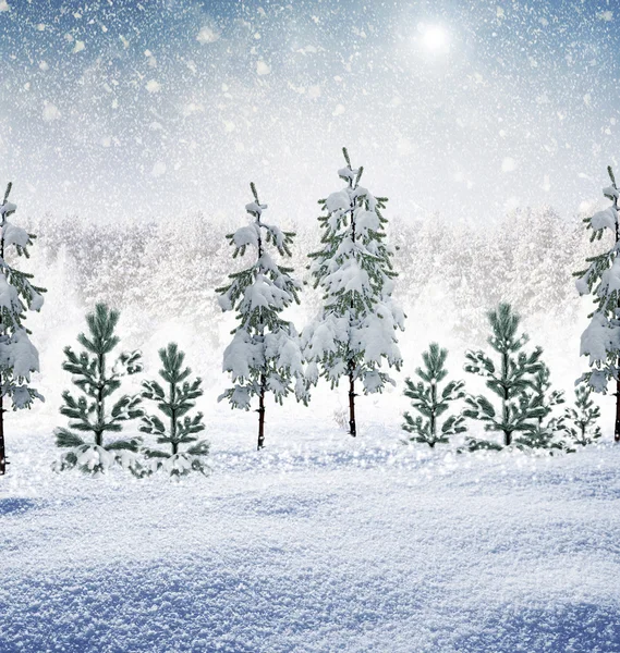 Winter Forest. — Stock Photo, Image