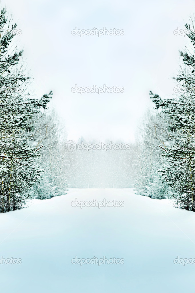 winter Landscape