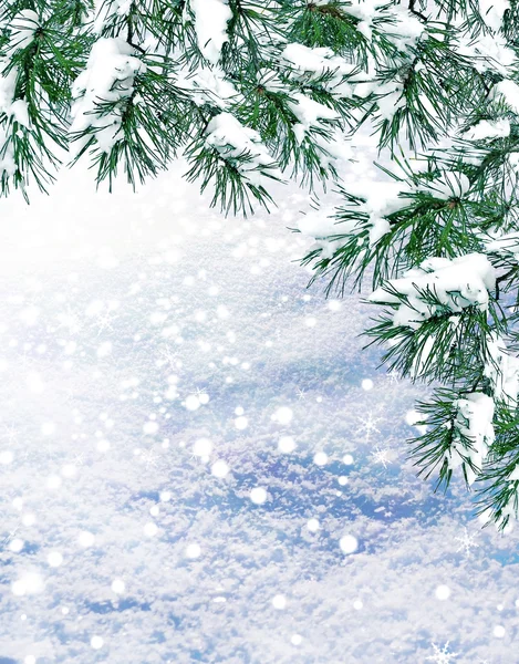 Background of snow. Winter landscape. — Stock Photo, Image