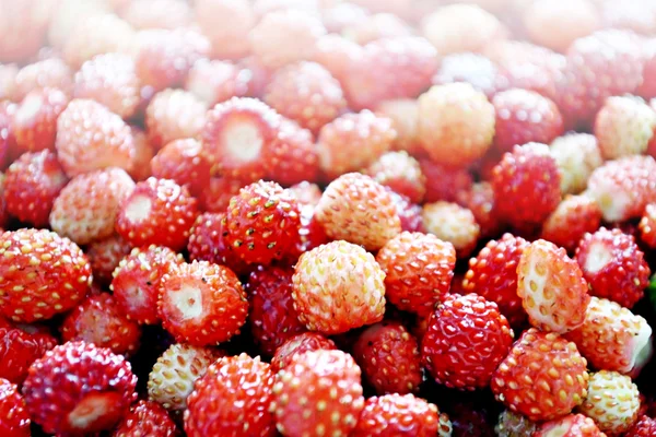 Fresas de bayas silvestres — Foto de Stock