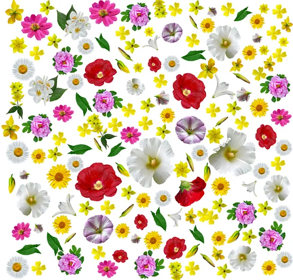 Astratto sfondo floreale — Foto Stock