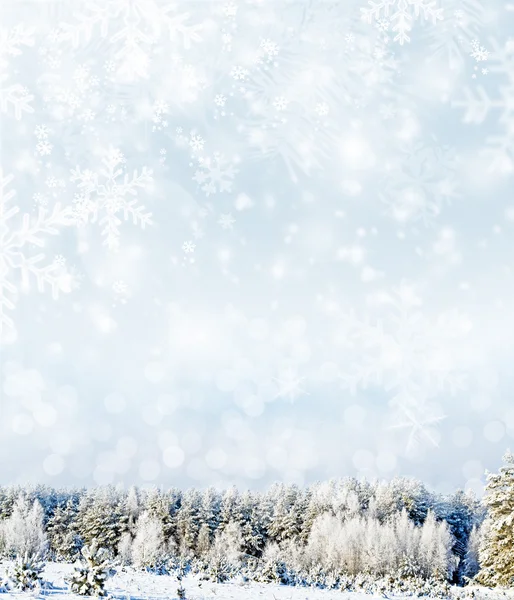 Background of snow. Winter landscape — Stock Photo, Image